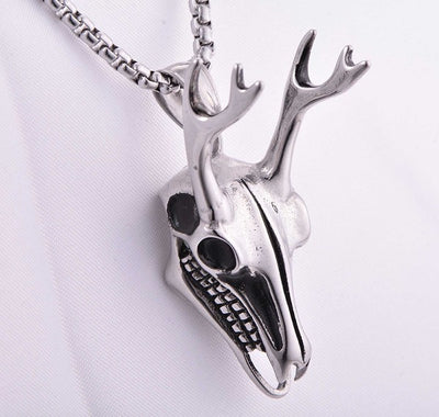roe_deer_skull