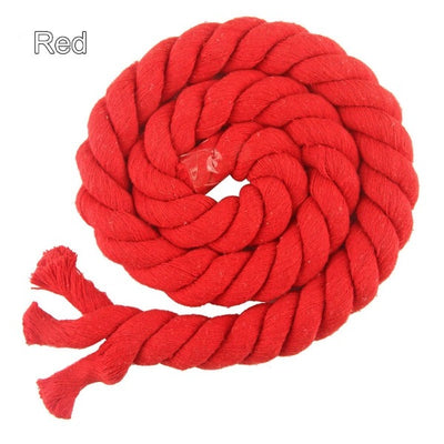 macrame_plant_hanger